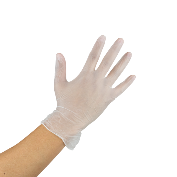 Karat Vinyl Powder-Free Gloves (Clear), Large - 1,000 pcs